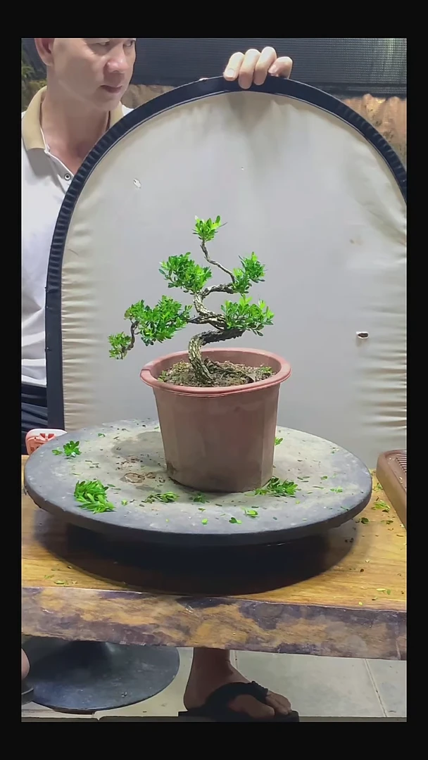 完全开放哒*1111111111