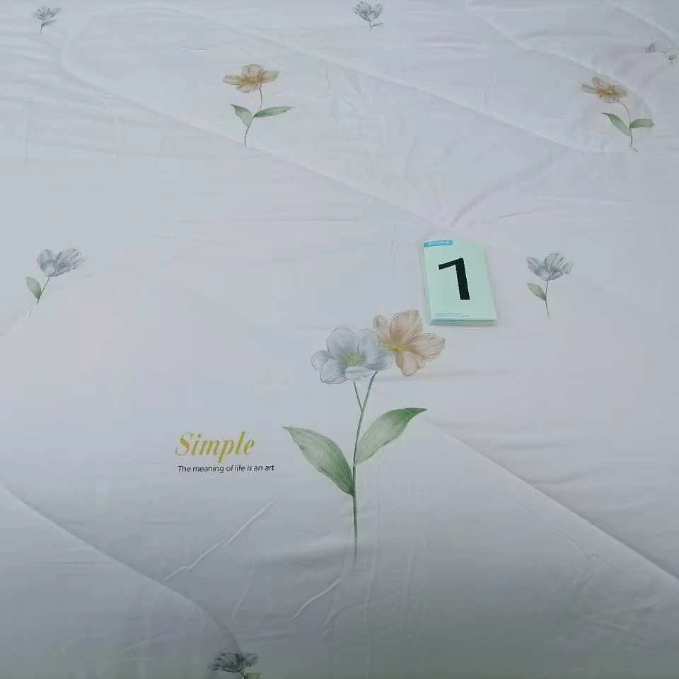 12斤重 加厚加重印花柔软亲肤包边全拉链可拆分双胎冬被