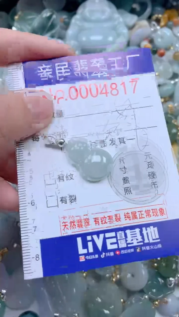 翡翠未镶嵌吊坠(不含链)4817