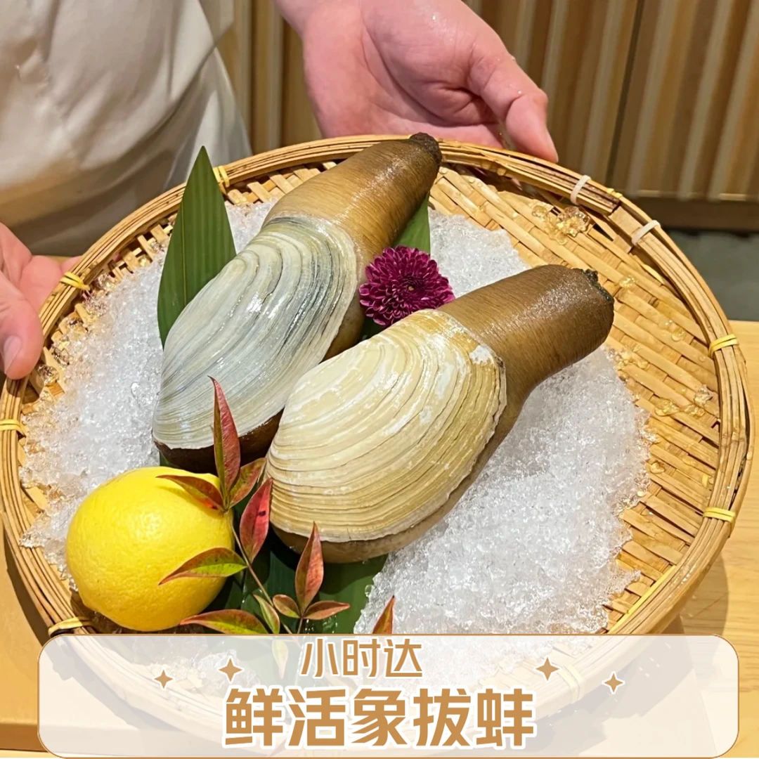 北京小时达象拔蚌可刺身包活送达鲜活发
