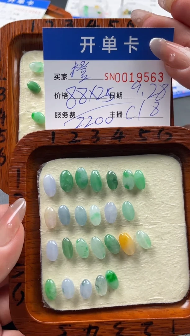 颈饰未镶嵌翡翠?**皮00019563