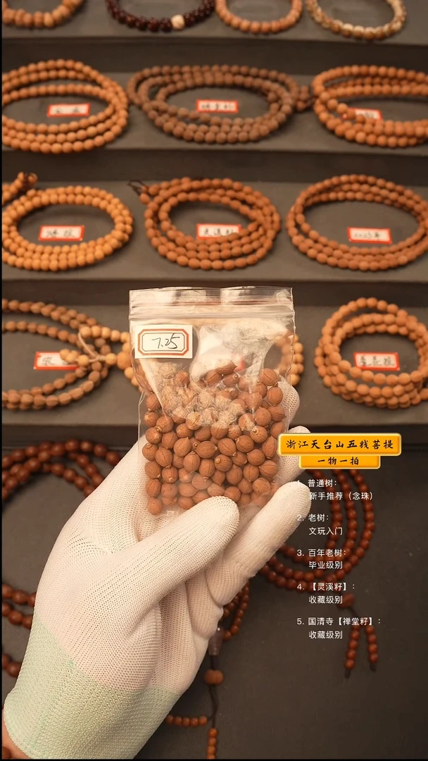 吊坠五线菩提隔**熊脖挂
