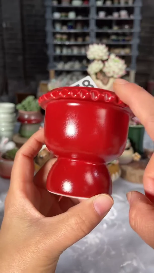 瓷片458小芳直播编号