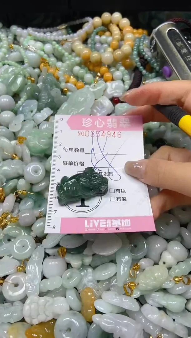 翡翠未镶嵌颈饰闪购0254946