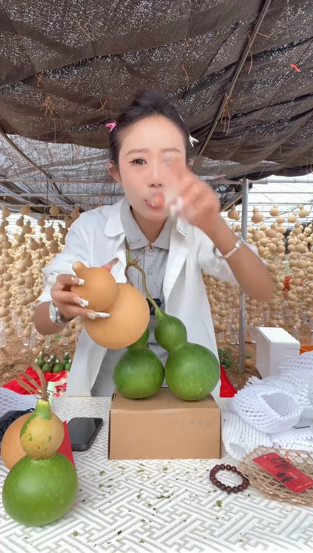023天然葫芦摆件 一物一拍
