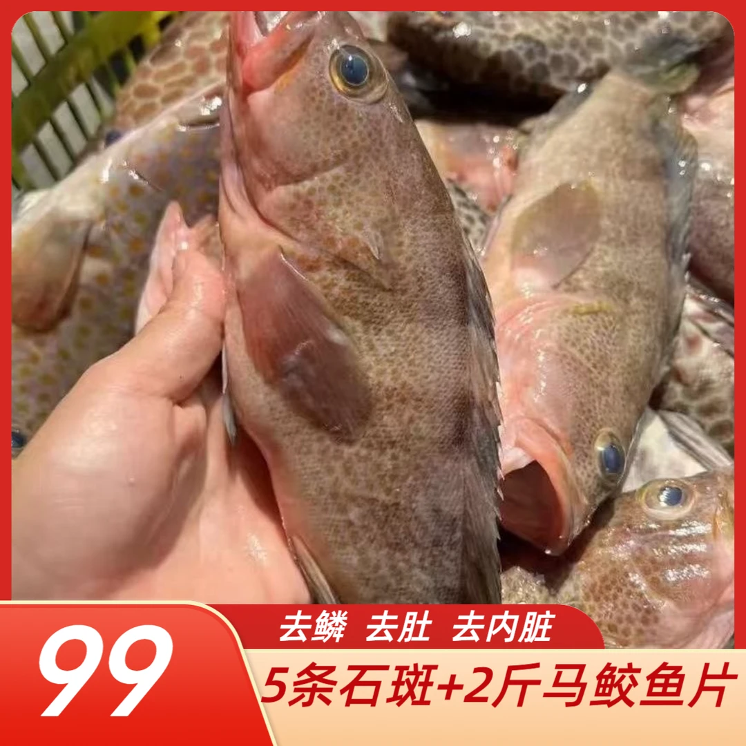 【顺丰包邮】深海海捕石斑鱼去鳞去腮去内脏5-7两/条清蒸红烧海鱼