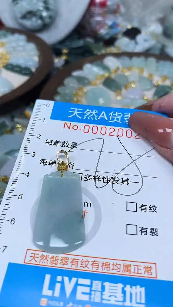 翡翠未镶嵌颈饰净货挂件-2002