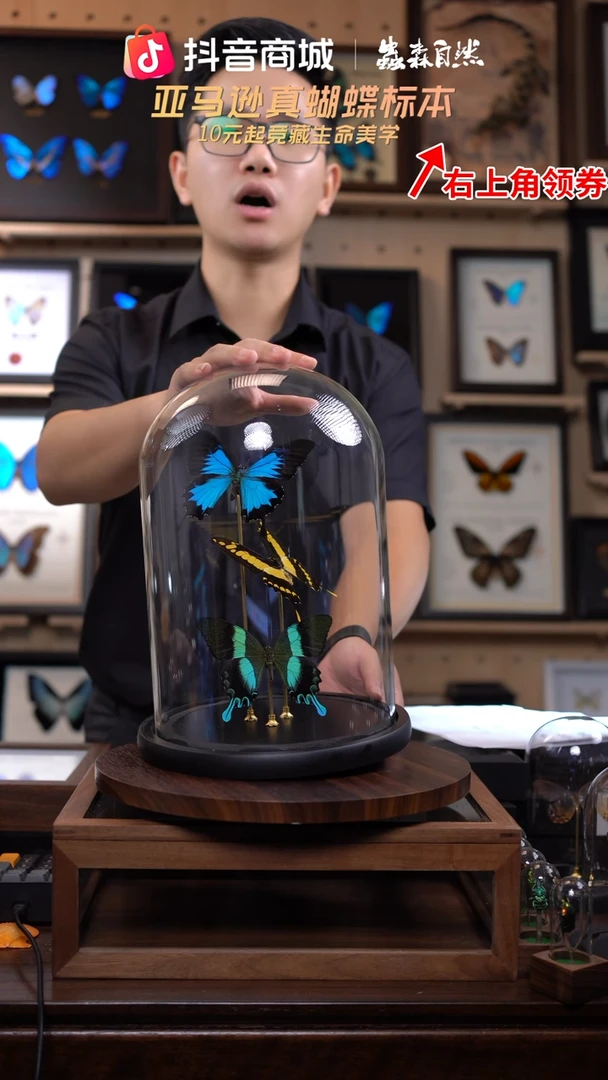 天堂+敏芷+爱神玻璃罩