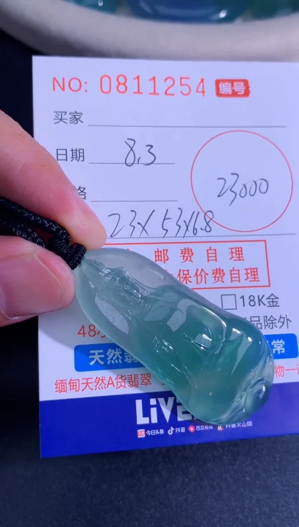 翡翠未镶嵌颈饰天然A货翡翠