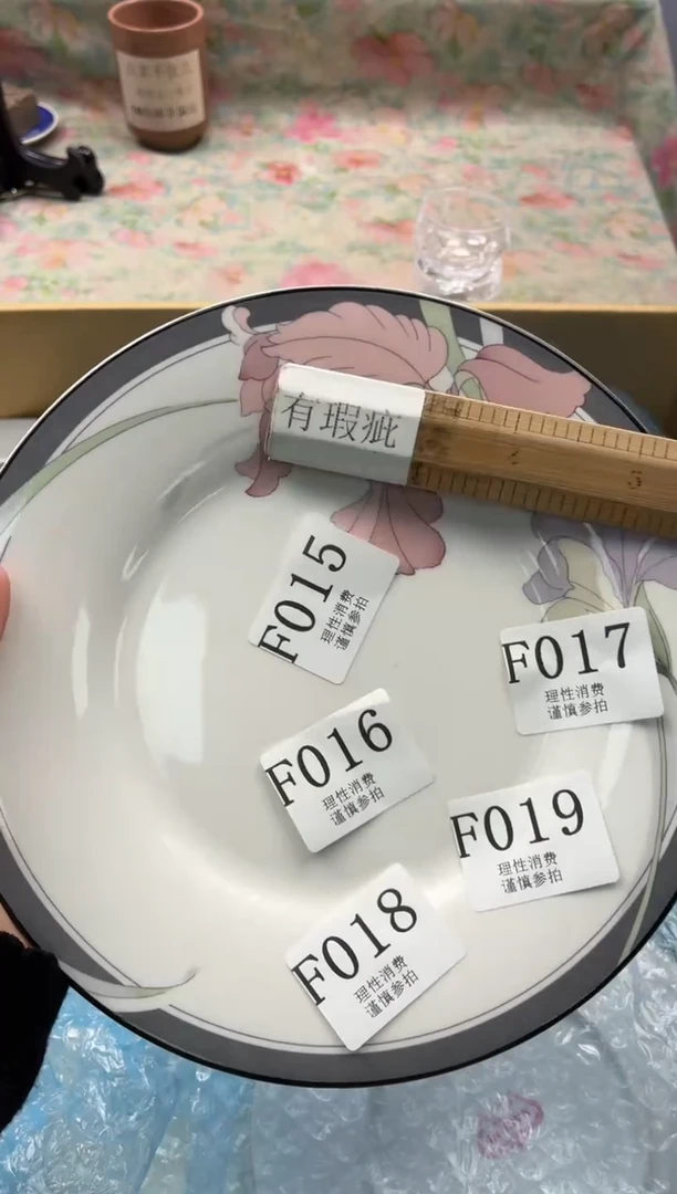 瓷片       F018