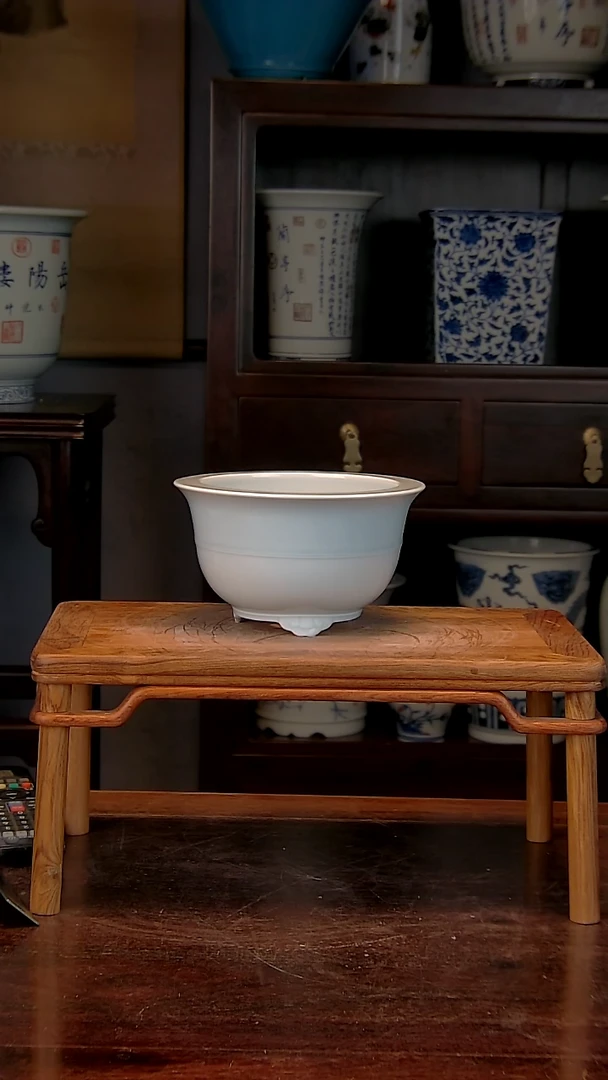 【闪购商品】红陶1