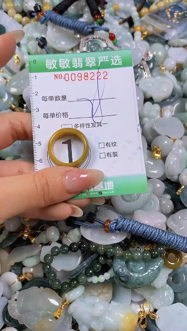 【闪购商品】翡翠颈饰未镶嵌闪购0098222