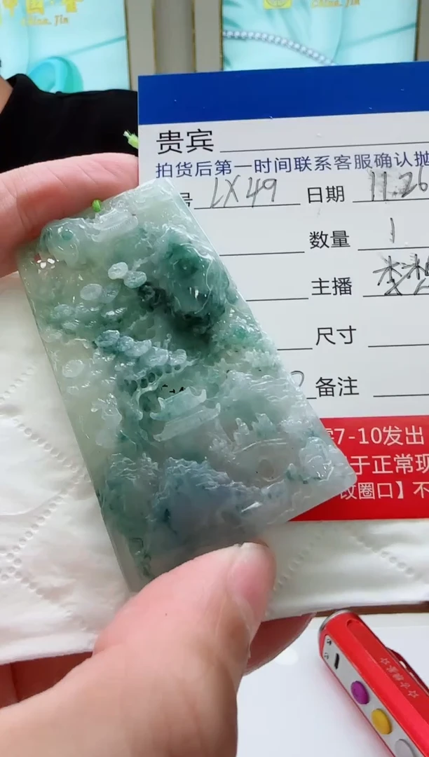 未镶嵌定制翡翠LX49翡翠吊坠赠珠链-多样性发其一