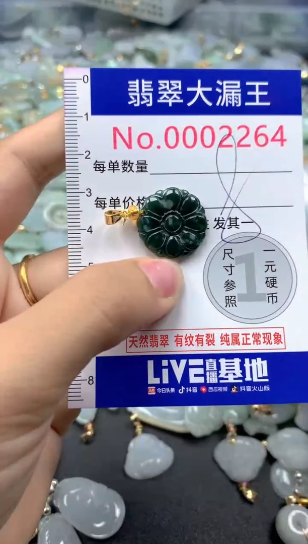 颈饰未镶嵌翡翠2264