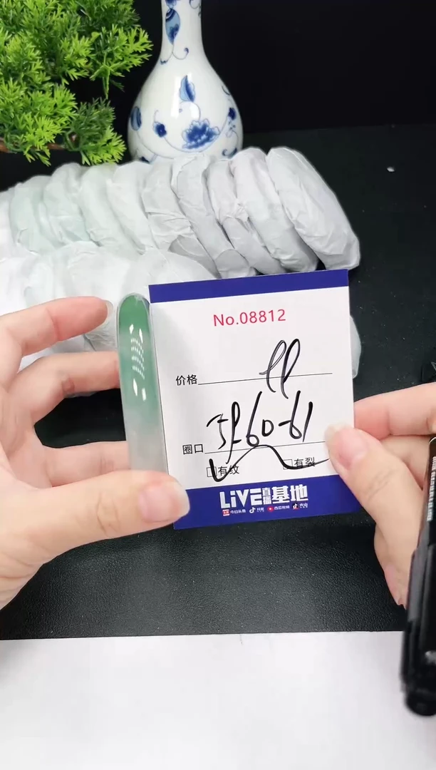 未镶嵌手镯翡翠8812