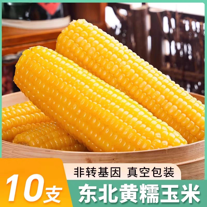 东北鲜食软糯清香黄玉米10根220克-260克/根新鲜