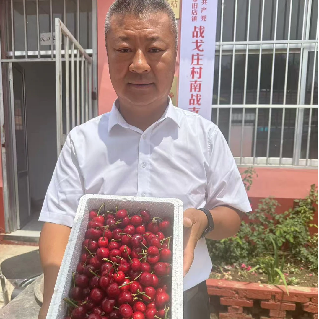 【张书记专属】9山东美早露天大樱桃新鲜现采摘脆甜多汁4斤装 3J  冰糖脆新鲜水果美早樱桃