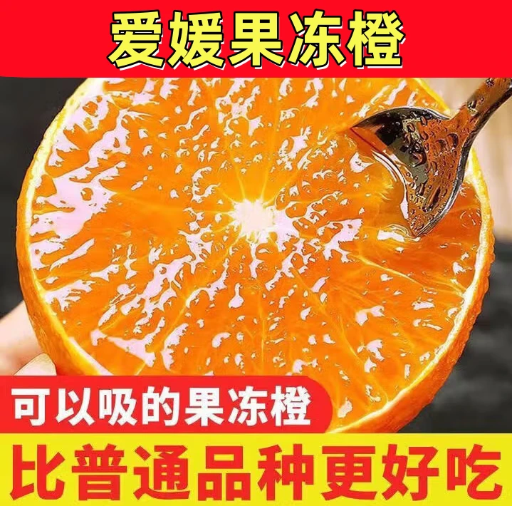 云南头茬爱媛橙农家果冻橙现摘现发当季应季橙子水果