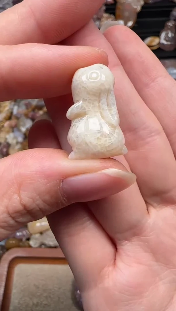 颈饰未镶嵌硅化珊瑚（珊瑚玉）181