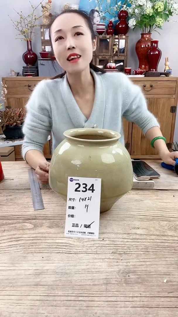 【闪购商品】红陶234