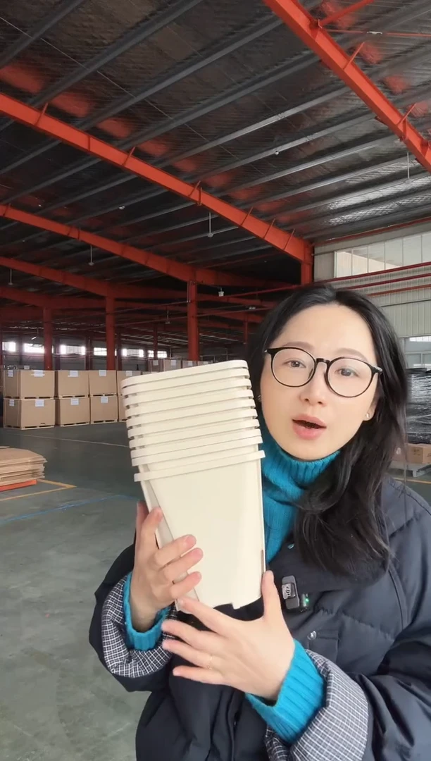 【闪购商品】塑料中号控根盆米兰黄50只