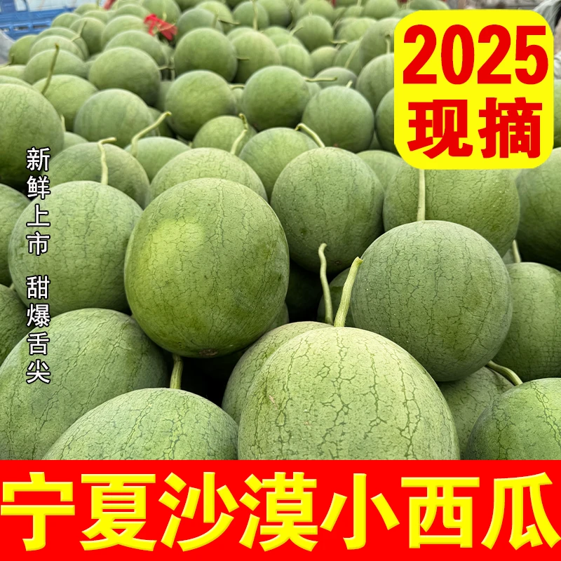 【EMS空运】宁夏沙漠西瓜小吊瓜新鲜水果手撕皮薄脆甜现摘黑籽麒麟
