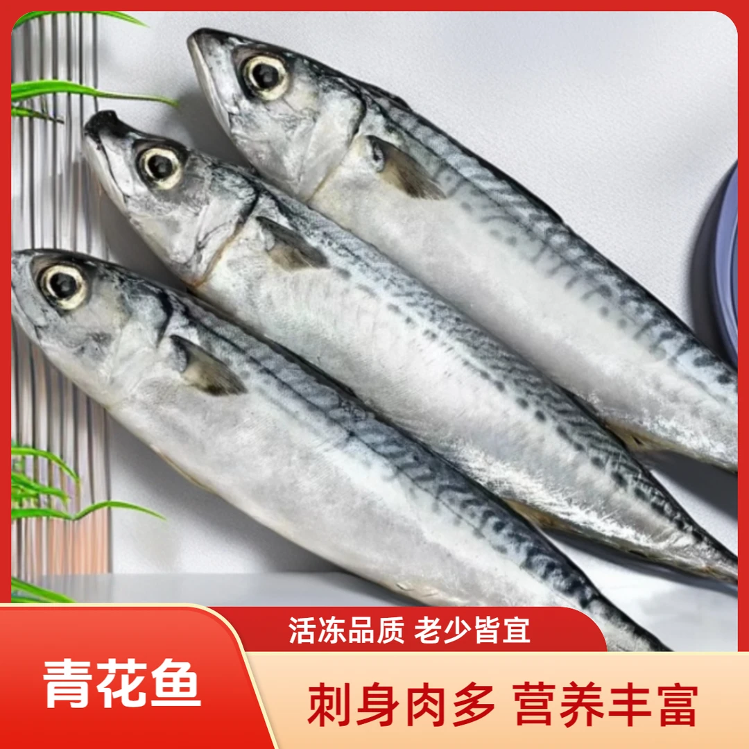 青占鱼挪威青花鱼青鱼巴浪鱼带鱼石斑鱼红鲳鱼石九公鱼花仙鱼干