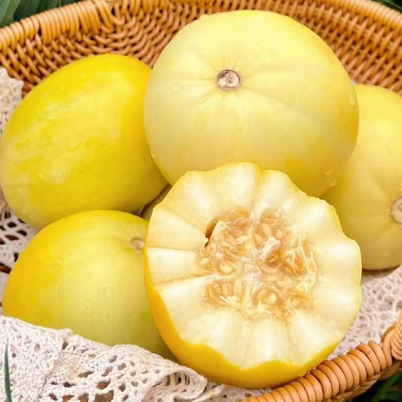 山东产地直发小蜜蜂甜瓜新鲜水果香瓜