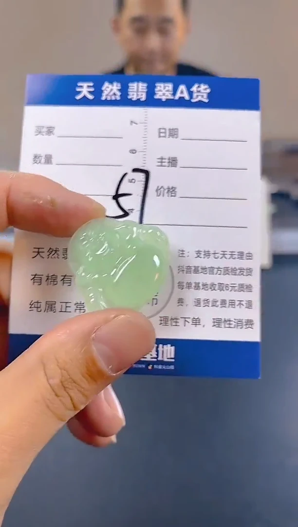 颈饰未镶嵌翡翠纯天然缅甸翡翠A货