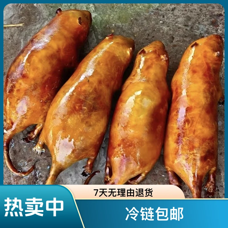 精品稻香竹子鼠竹子喂养自家人工养殖冷链包邮