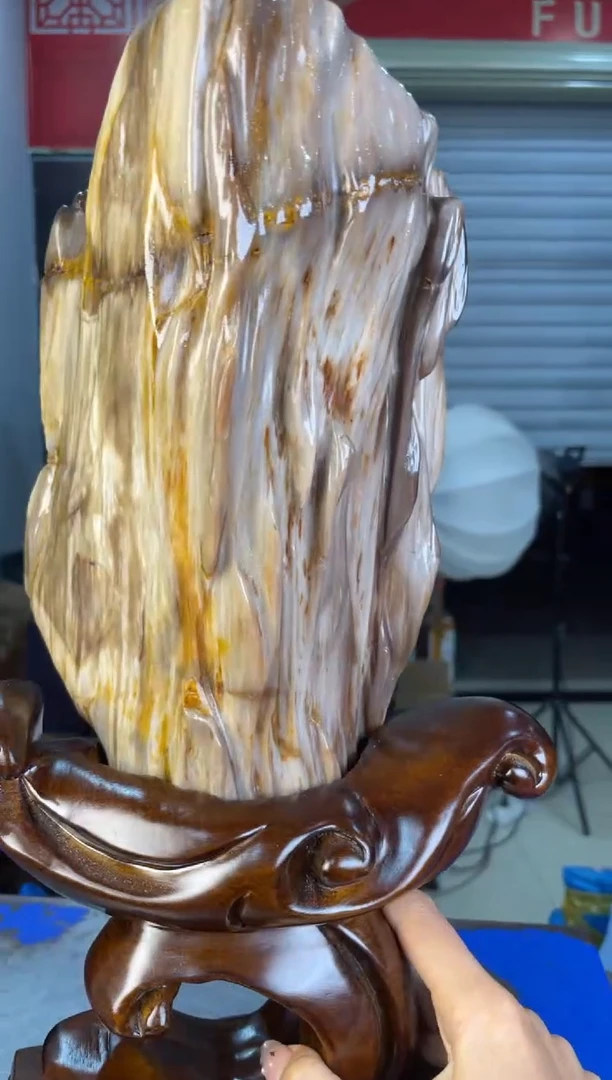 未镶嵌摆件硅化玉31