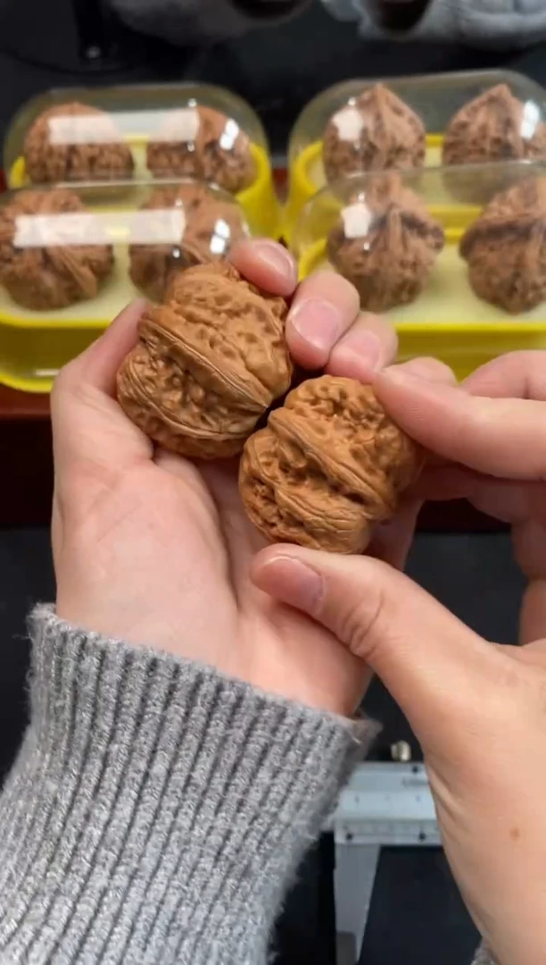 把件文玩核桃元宝40尺Z267