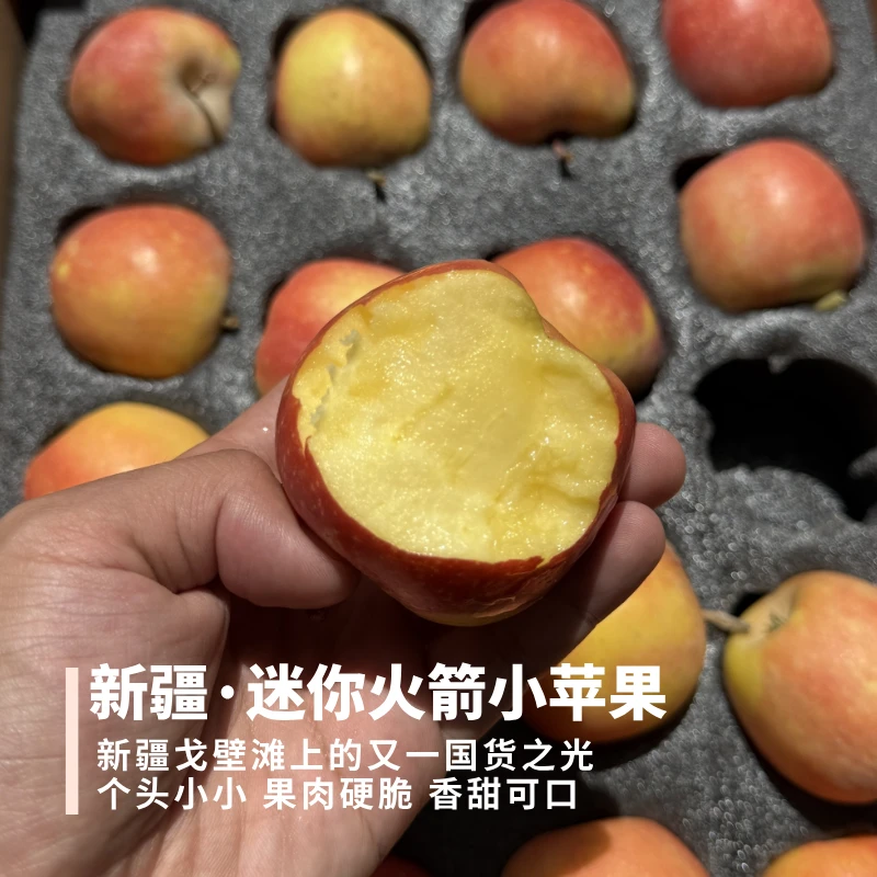 新疆火箭小苹果 个头小果肉硬实脆香甜可口【顺丰陆运】 迷你果30枚