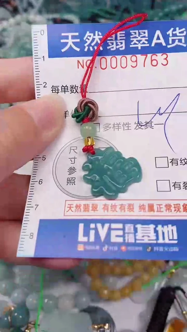 颈饰未镶嵌翡翠00009763