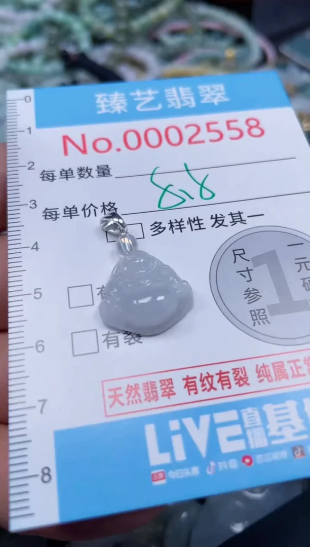 颈饰未镶嵌翡翠2558