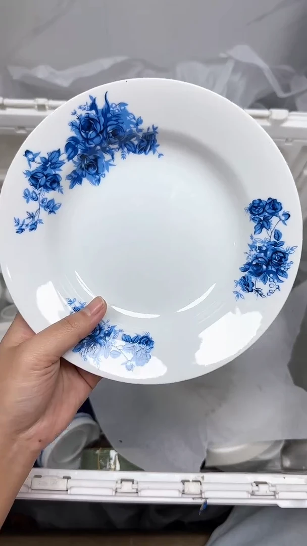 【闪购商品】1196回流瓷器默认微瑕，18.8包邮