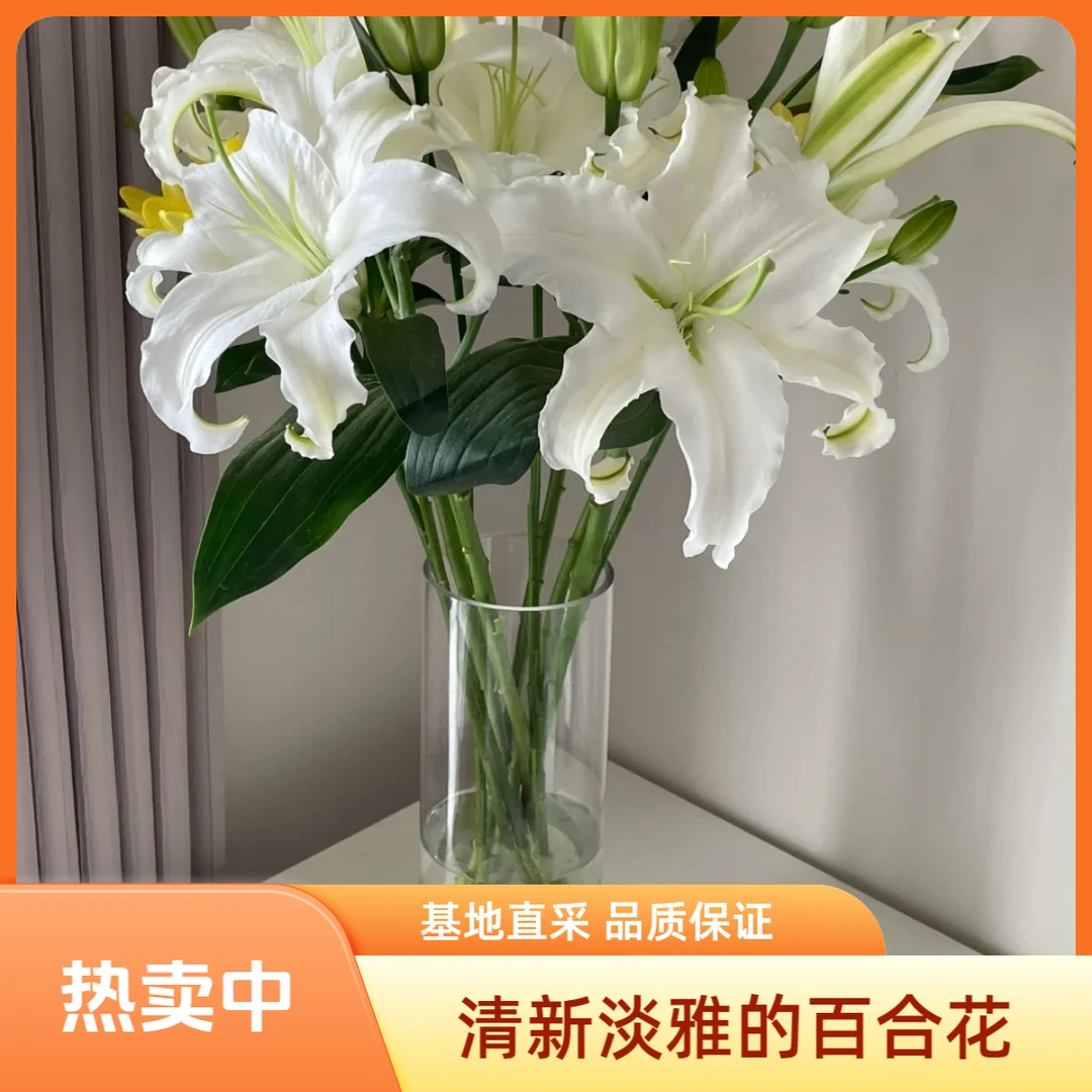 次日达-【香水百合】2头白色百合花鲜花次日达今天拍明天到
