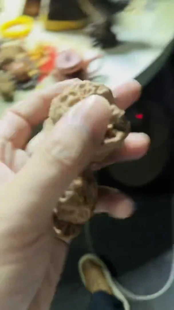 呃呃呃呃呃呃呃呃12