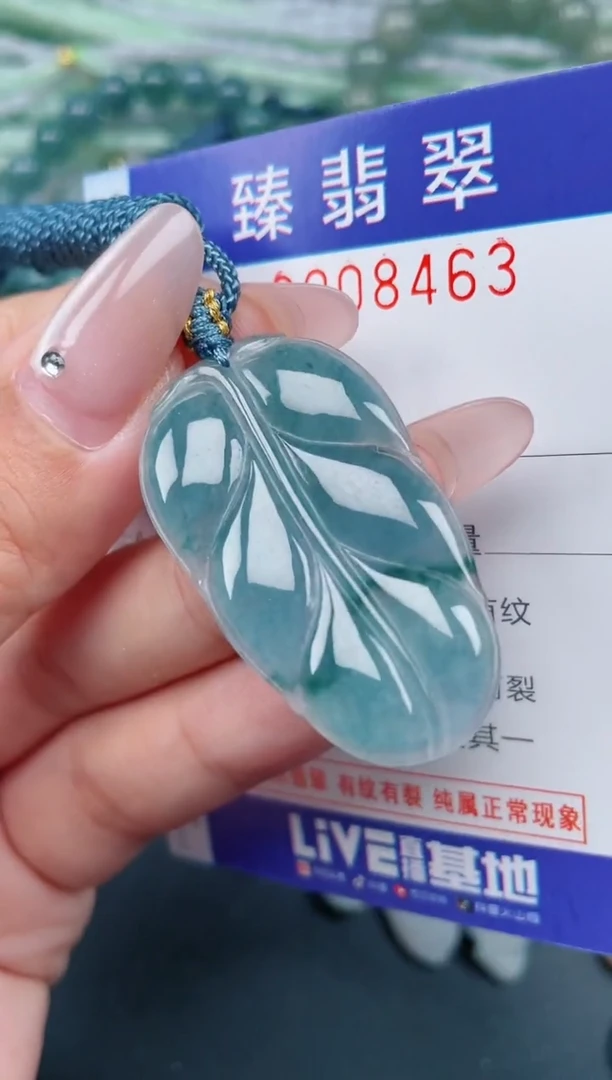 翡翠未镶嵌颈饰.0008463