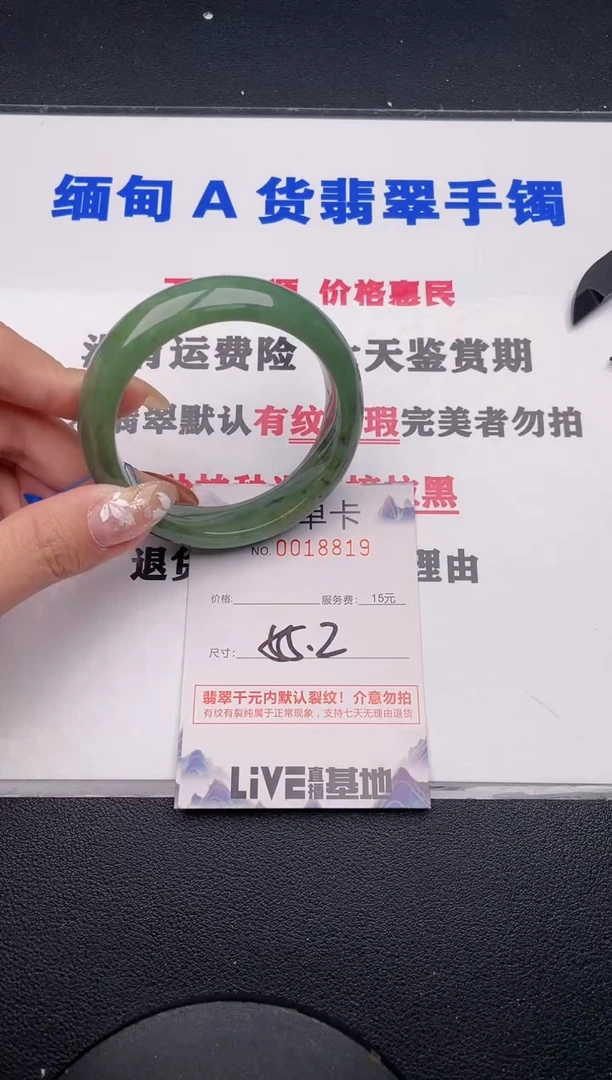 未镶嵌手镯翡翠198