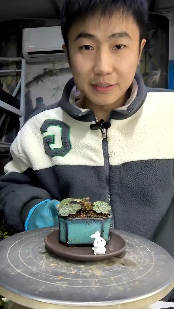 慧*U中青园艺一物一拍花429