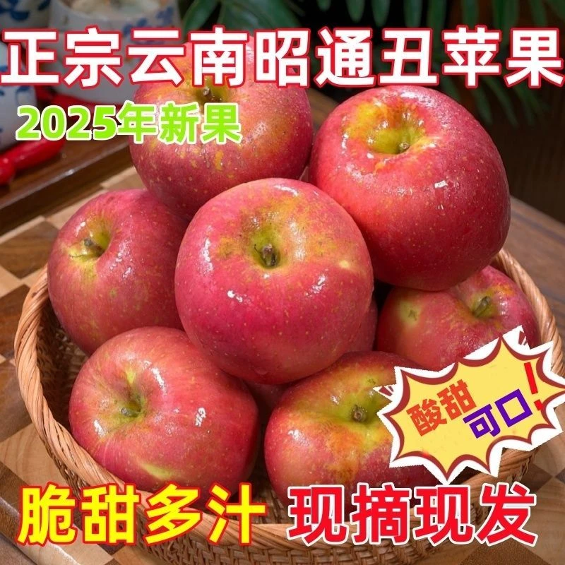 云南昭通丑苹果当季现摘脆甜多汁果肉细腻新鲜水果华硕苹果