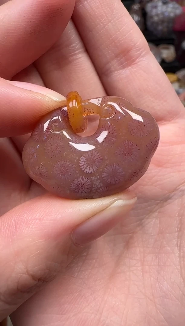 颈饰未镶嵌硅化珊瑚（珊瑚玉）406