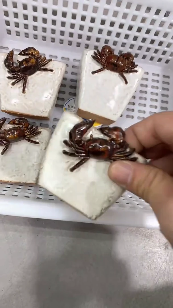 瓷片陶瓷茶具茶器