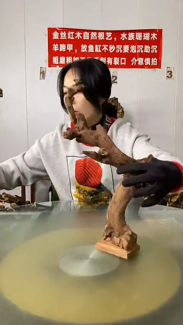 木猴*菇金丝红木  羊蹄甲