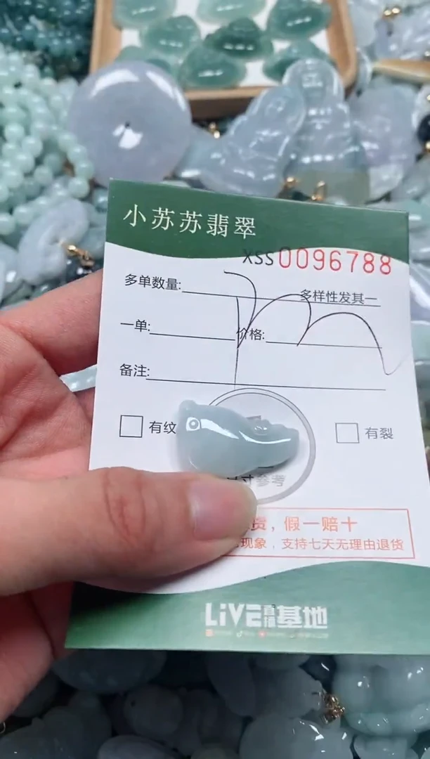 【闪购商品】翡翠颈饰未镶嵌闪购商品0096788