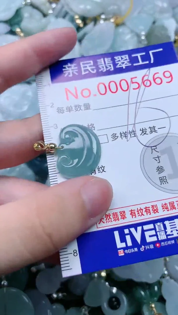 翡翠未镶嵌吊坠(不含链)5669