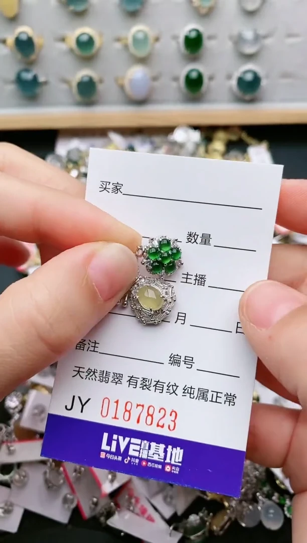 翡翠银S925镶嵌颈饰....