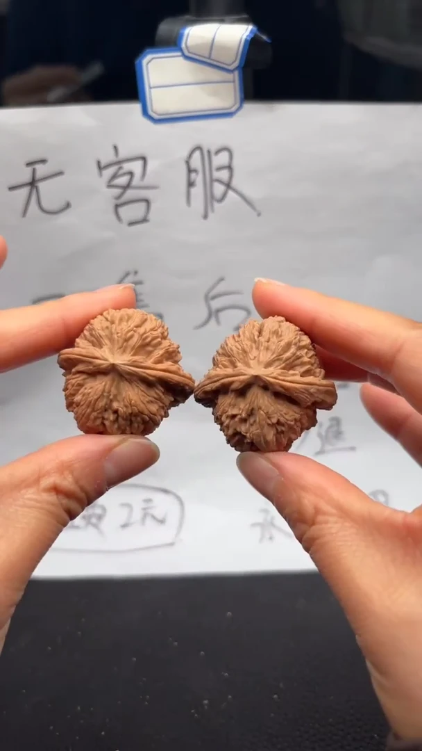 把件文玩核桃247白狮子