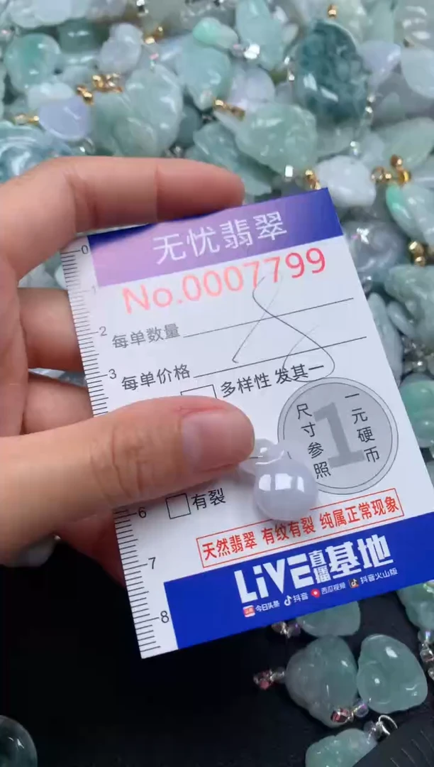 颈饰未镶嵌翡翠7799